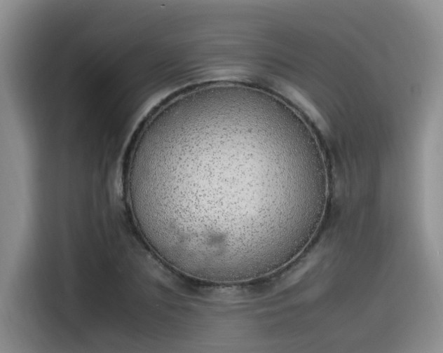 X0000115640883200911171420