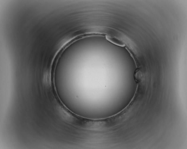 X0000115640884200911171420