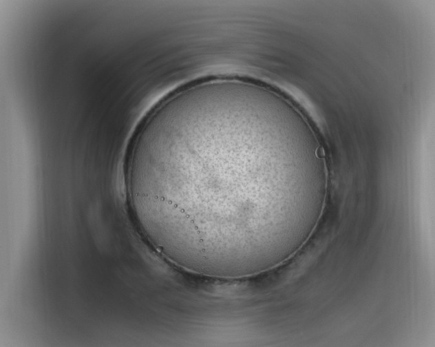 X0000115640887200911171420