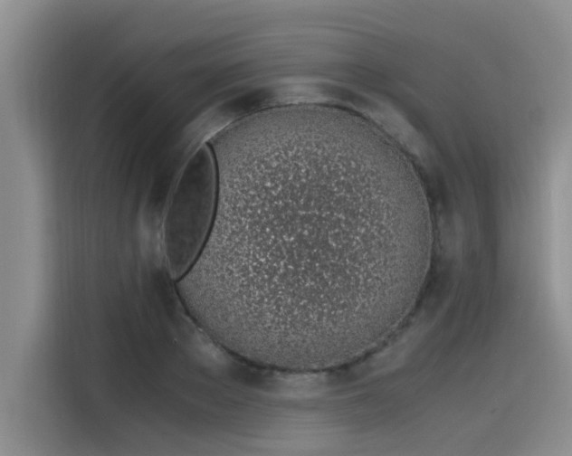 X0000115640889200911171420