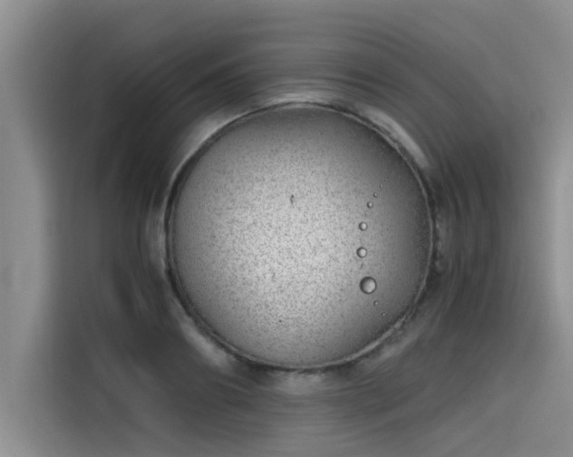 X0000115640890200911171420