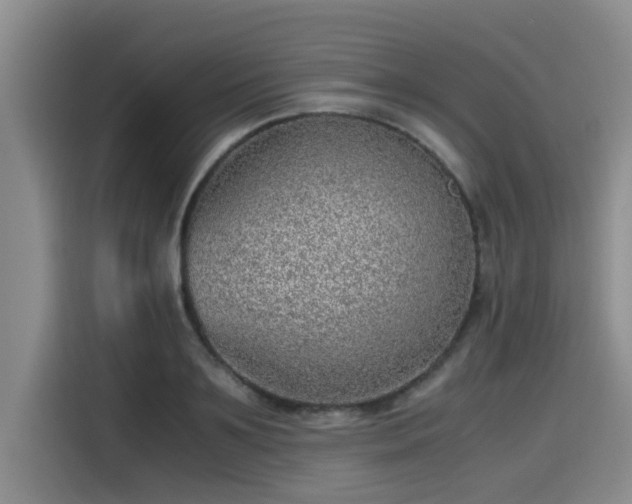 X0000115640891200911171420