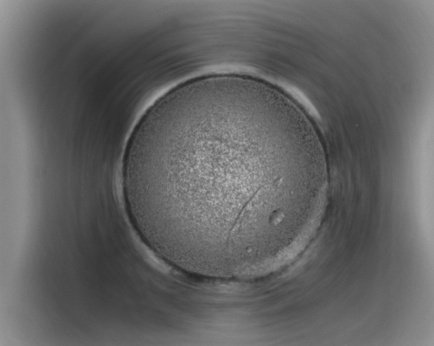 X0000115640895200911171420