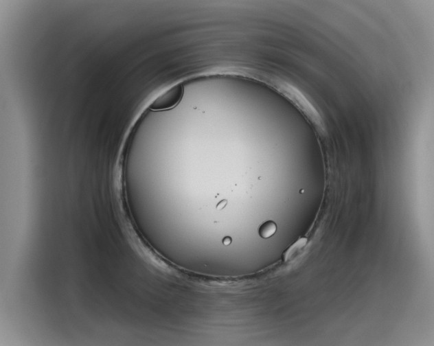 X0000115640900200911171420