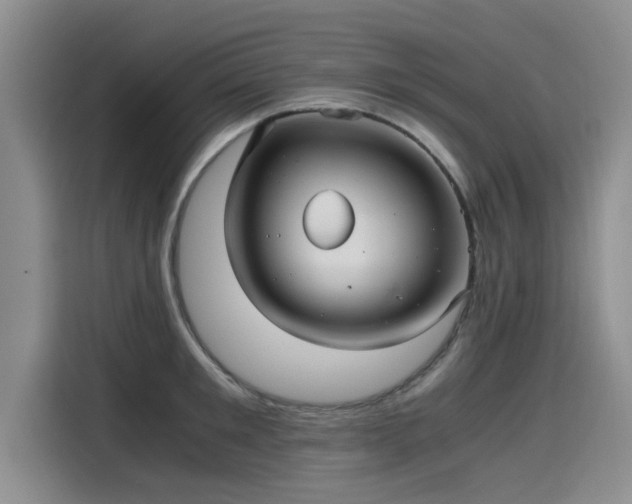 X0000115640901200911171420