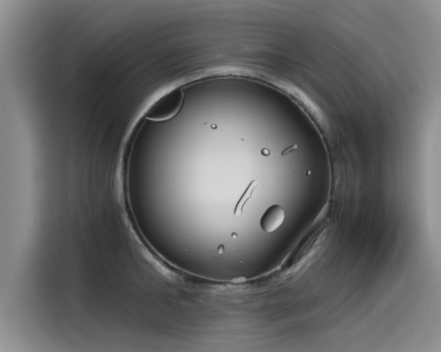 X0000115640902200911171420