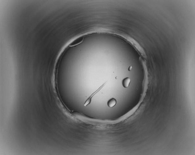 X0000115640904200911171420