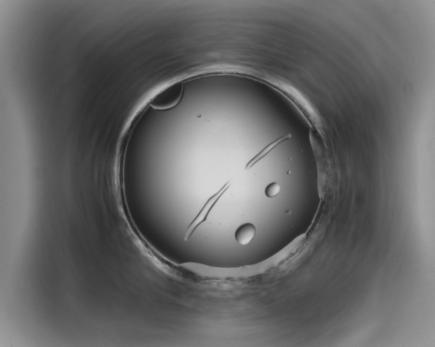 X0000115640910200911171420