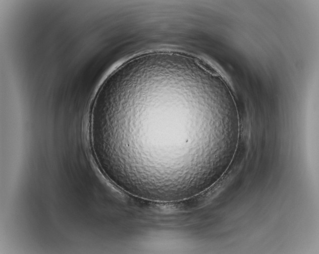 X0000115640911200911171420