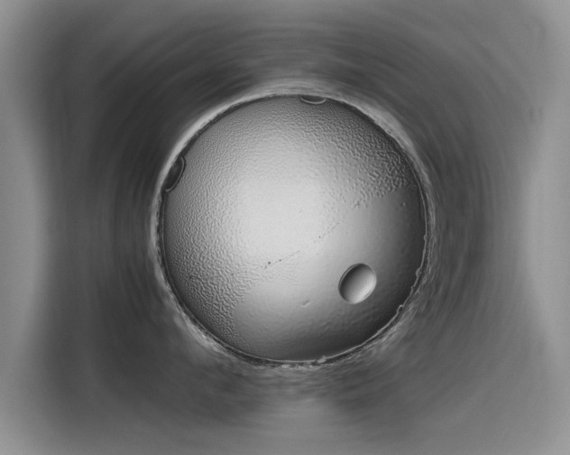 X0000115640912200911171420