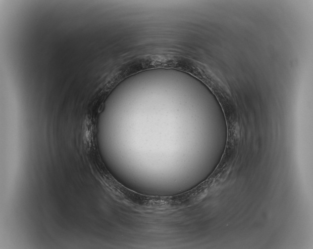 X0000115640914200911171419