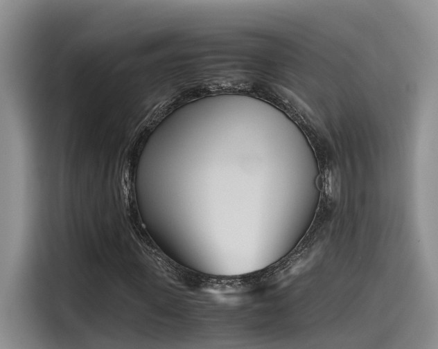 X0000115640915200911171419