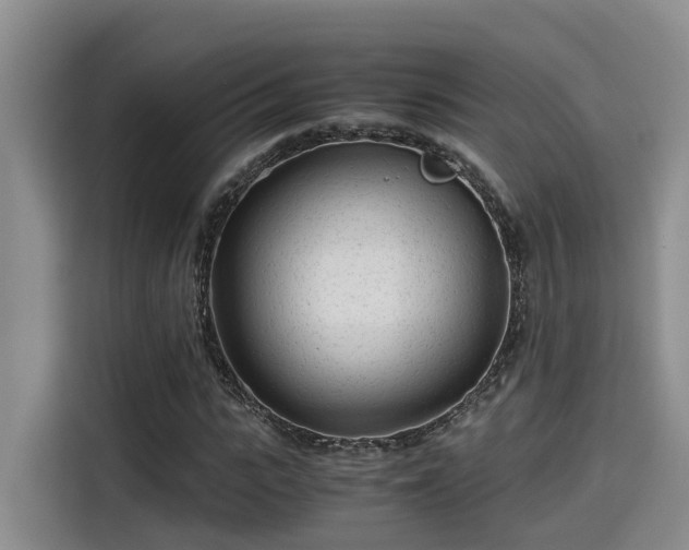 X0000115640919200911171419