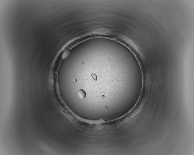 X0000115640923200911171419