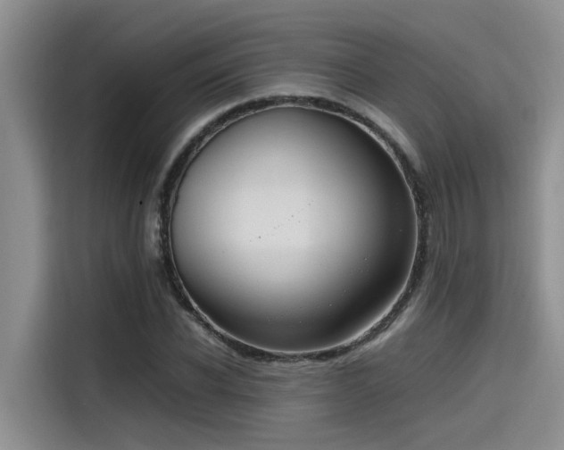 X0000115640926200911171419