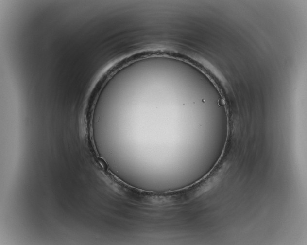 X0000115640927200911171419