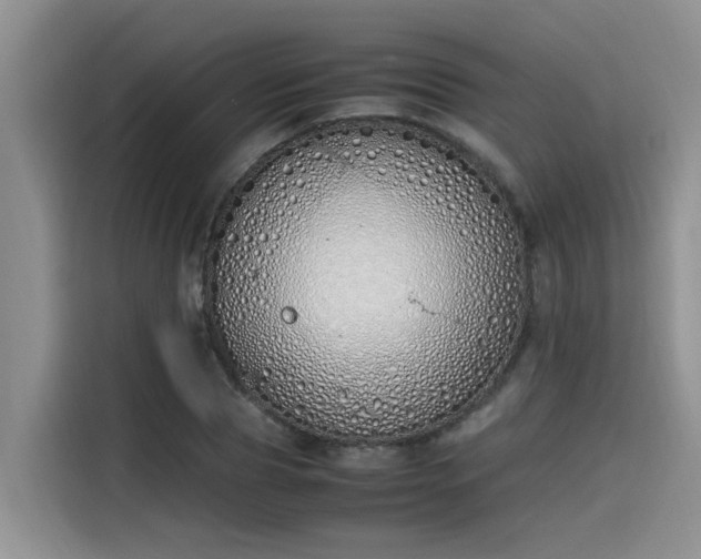 X0000115640929200911171419