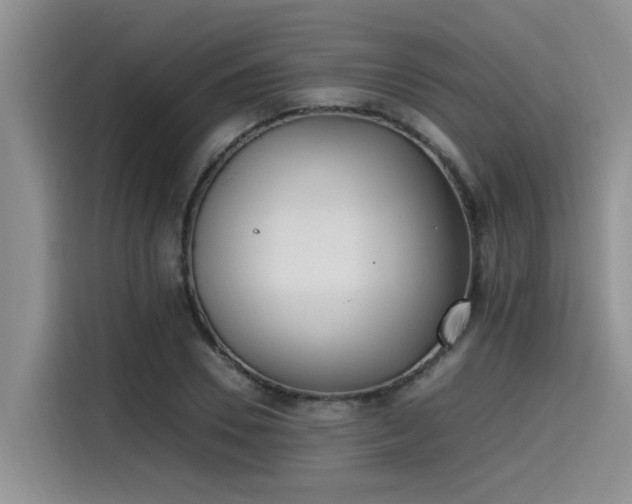 X0000115640930200911171419