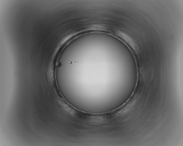 X0000115640931200911171419