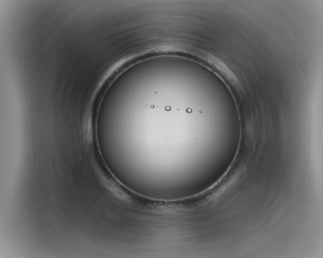 X0000115640934200911171419