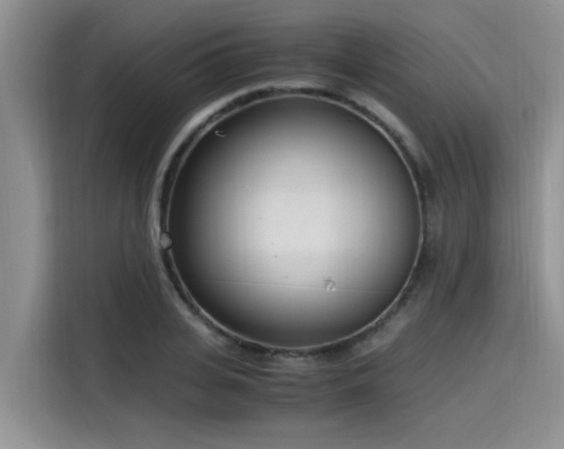 X0000115640935200911171419