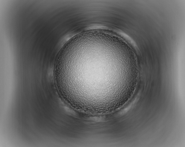 X0000115640937200911171419