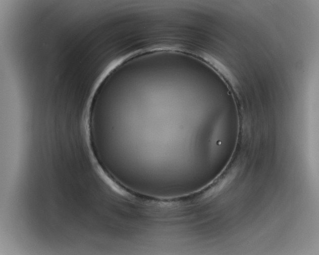 X0000115640941200911171419