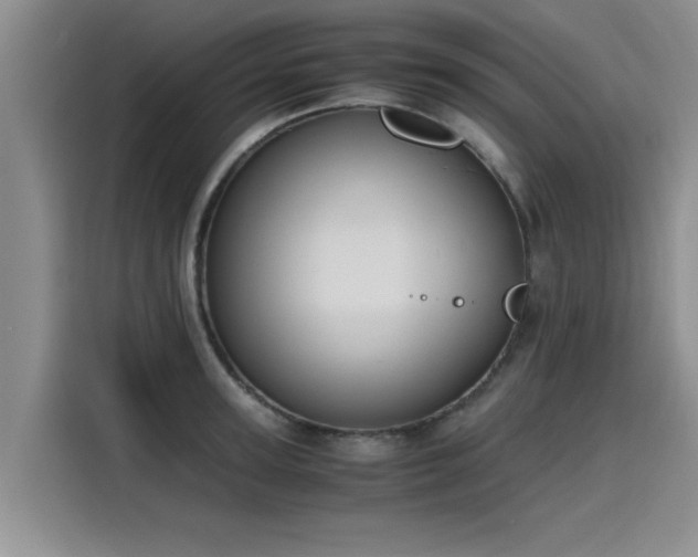 X0000115640947200911171419