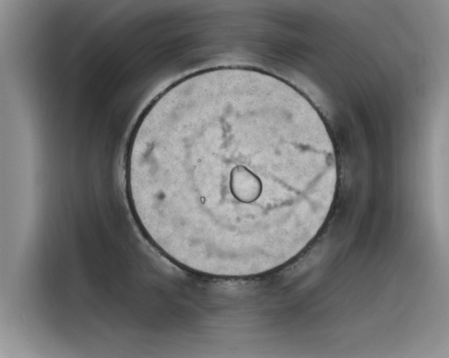 X0000115640950200911171419