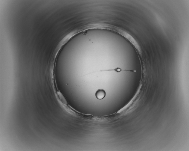 X0000115640954200911171419