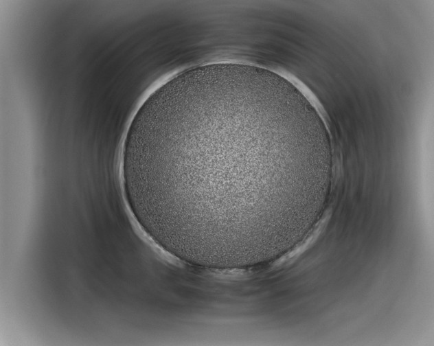 X0000115640957200911171419