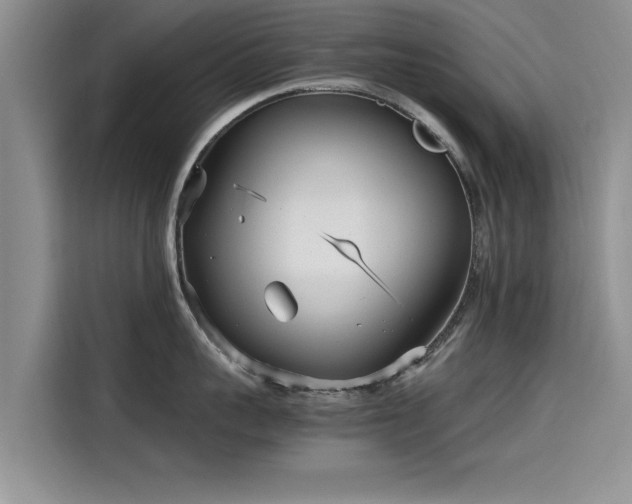 X0000115640959200911171419