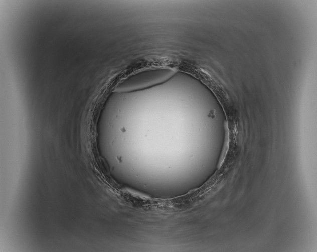 X0000115640961200911171419