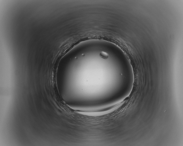 X0000115640964200911171419