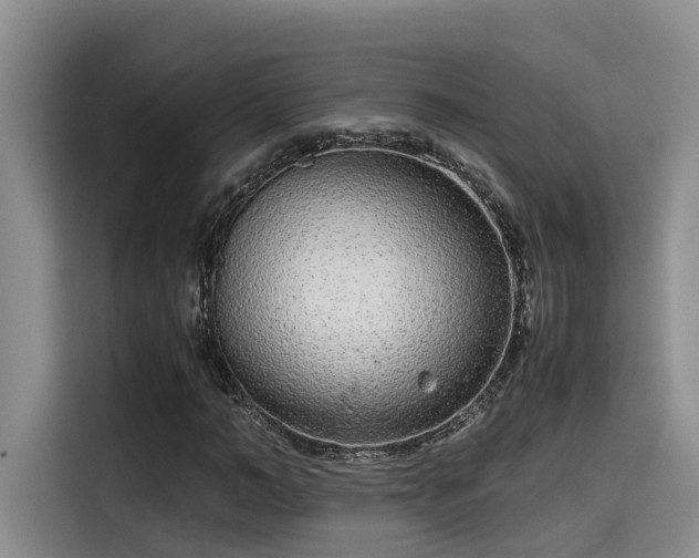 X0000115640966200911171419