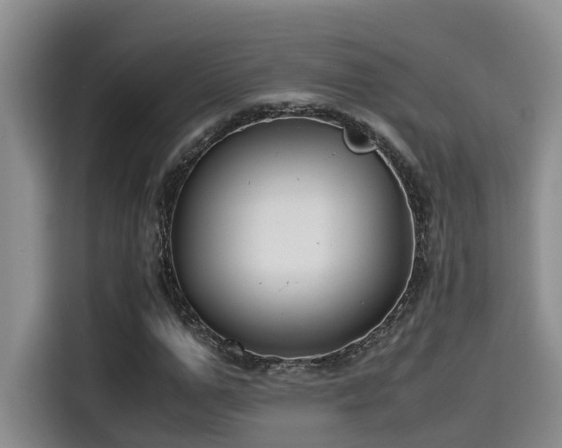 X0000115640967200911171419