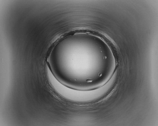 X0000115640969200911171419