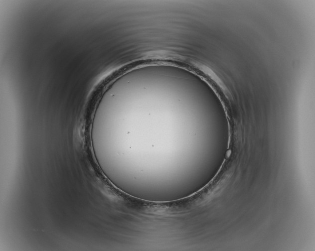 X0000115640971200911171419