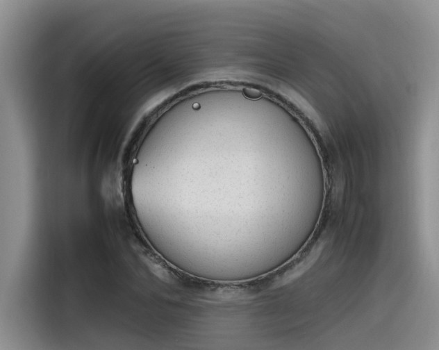 X0000115640974200911171419