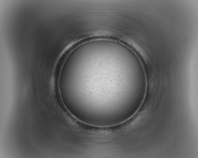 X0000115640975200911171419