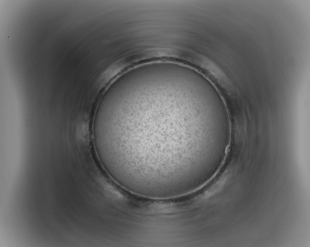 X0000115640977200911171419