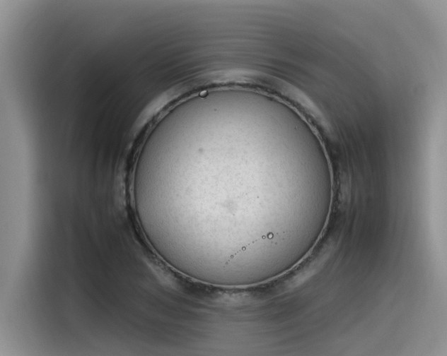 X0000115640978200911171419