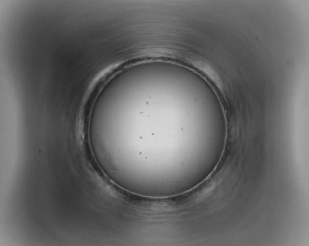 X0000115640979200911171419