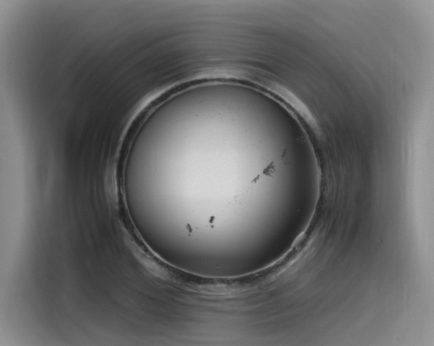 X0000115640980200911171419