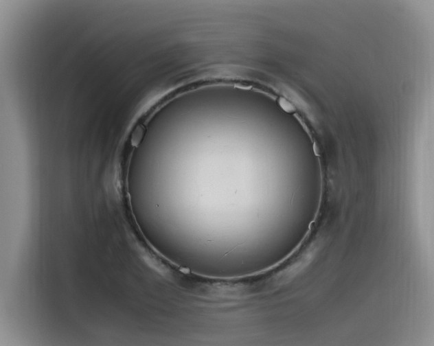 X0000115640981200911171419