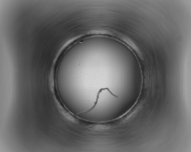 X0000115640984200911171419