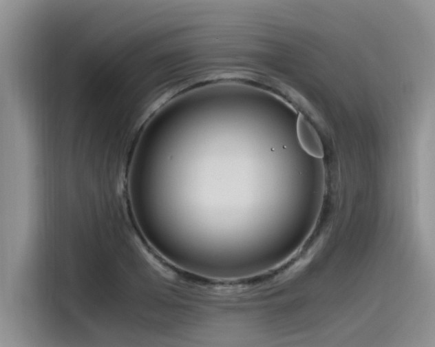 X0000115640985200911171419