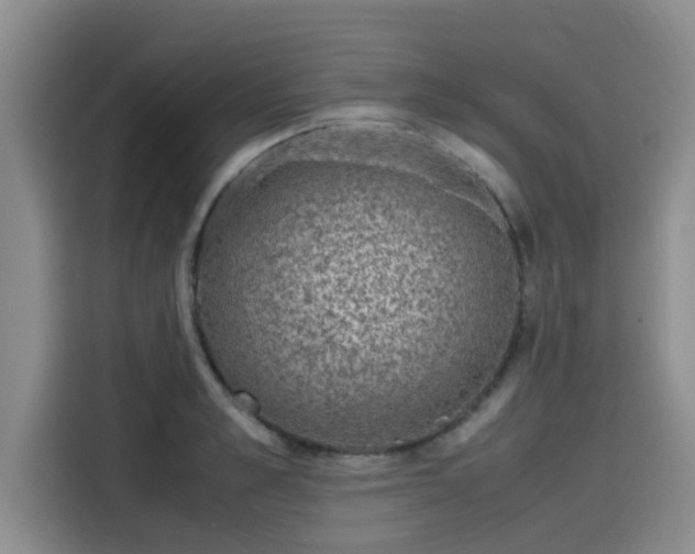 X0000115640989200911171419