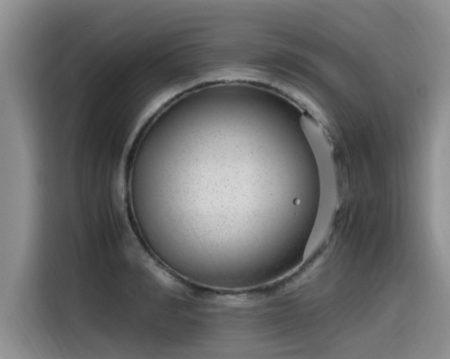 X0000115640990200911171418