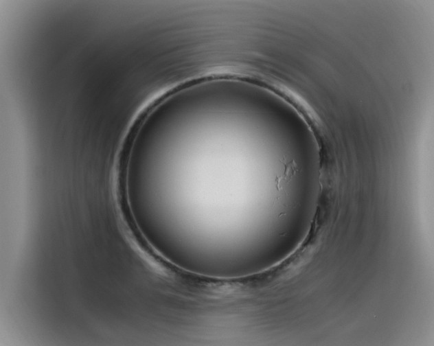 X0000115640991200911171418